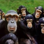 Cómo sobrevivir a los malos gobernantes