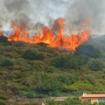 Incendios, hornos de carbón y deforestación matizan gestión de Estévez en Medio Ambiente