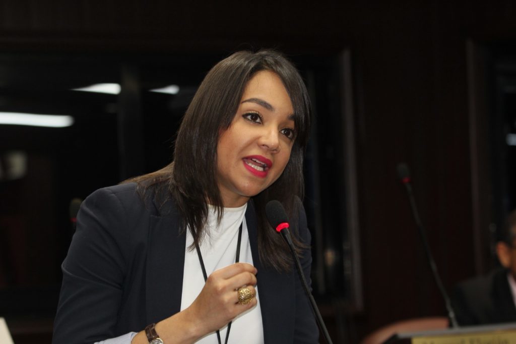 Faride Raful @PRM_Oficial: Al PLD no importan las Leyes. Ahora violan la Ley de Función Pública