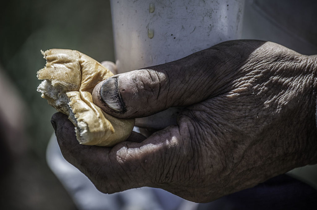 Trabajabaron  la tierra toda la vida; dejaron sudor, hoy piden ayuda