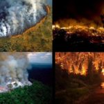 Incendio en el Amazonas genera alarma mundial: Se quema el pulmón del planeta