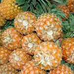 @AgriculturRD: 200 millones de Piña se producen en nuestro país
