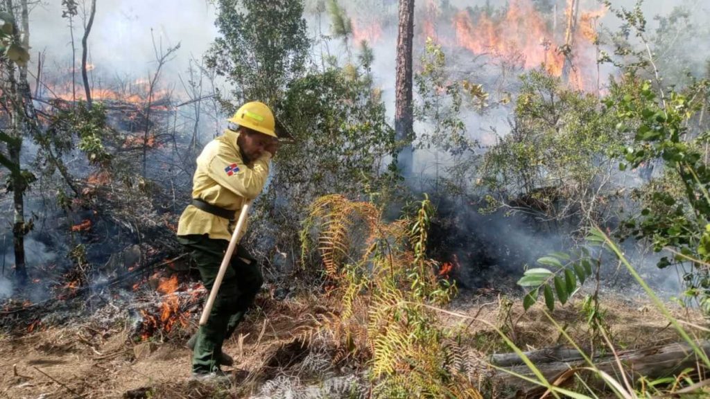 @AmbienteRD Continúa velando por los bosques del país ante inicio de la temporada alta de incendios forestales