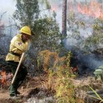 @AmbienteRD Continúa velando por los bosques del país ante inicio de la temporada alta de incendios forestales