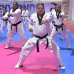 @F_CamachoR: El ministro karateca