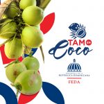 El gobierno a traves de @Feda_RD seguirá el proceso de relanzamiento del sector coco sembrando cientos de miles de plantas en toda la geografía nacional en especial en las zonas que son grandes productoras
