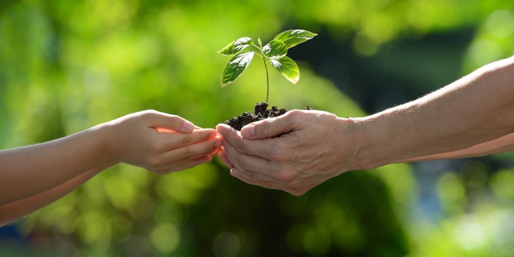 La sostenibilidad como eje educativo para proteger el planeta Tierra