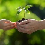 La sostenibilidad como eje educativo para proteger el planeta Tierra