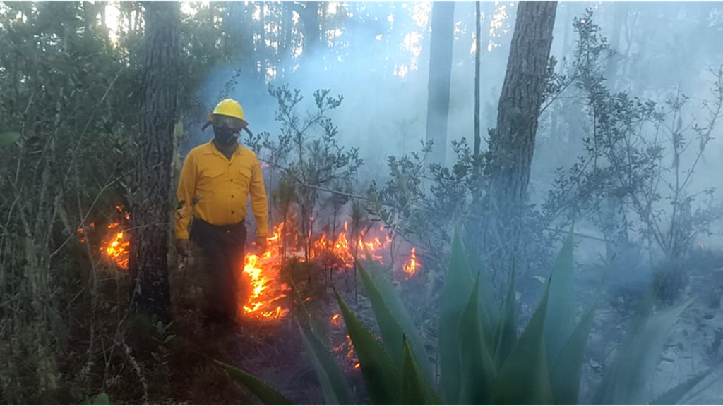 @ambienterd: Bomberos forestales extinguen 11 incendios en diferentes puntos del país