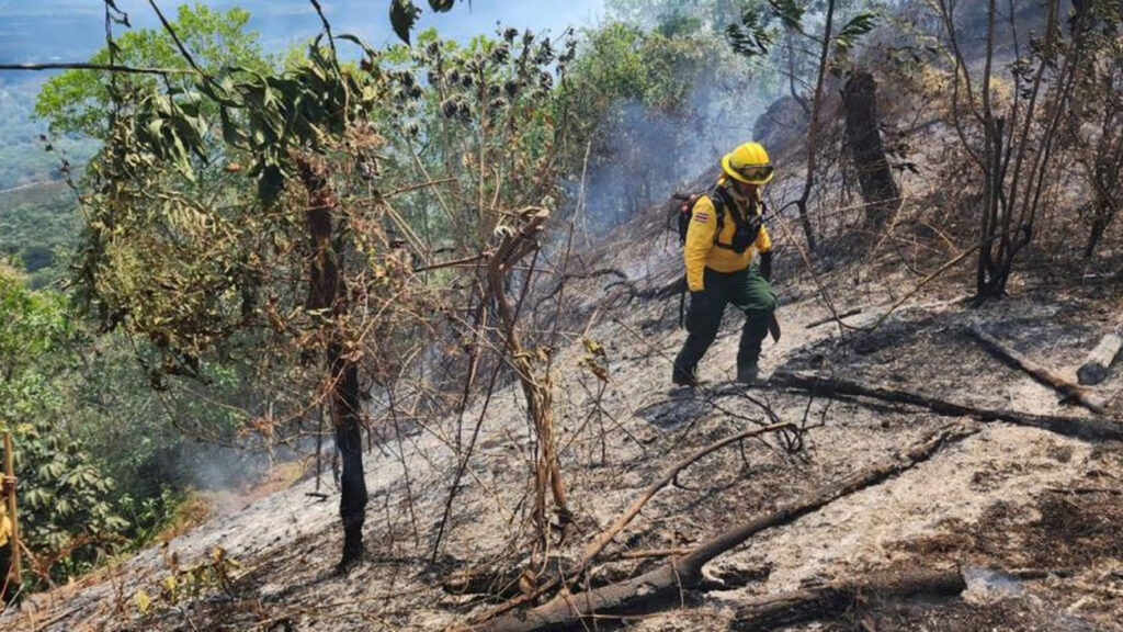@AmbienteRD Persigue a desaprensivos provocaron incendios; bomberos se mantienen en atención permanente