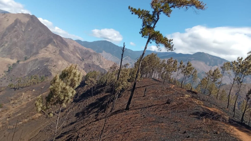 Medio Ambiente informa no hay incendios forestales; iniciará proceso de restauración por incendio en el Parque Nacional José del Carmen Ramírez