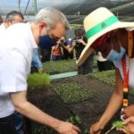 Gobierno desarrollará a partir de junio una jornada nacional de reforestación