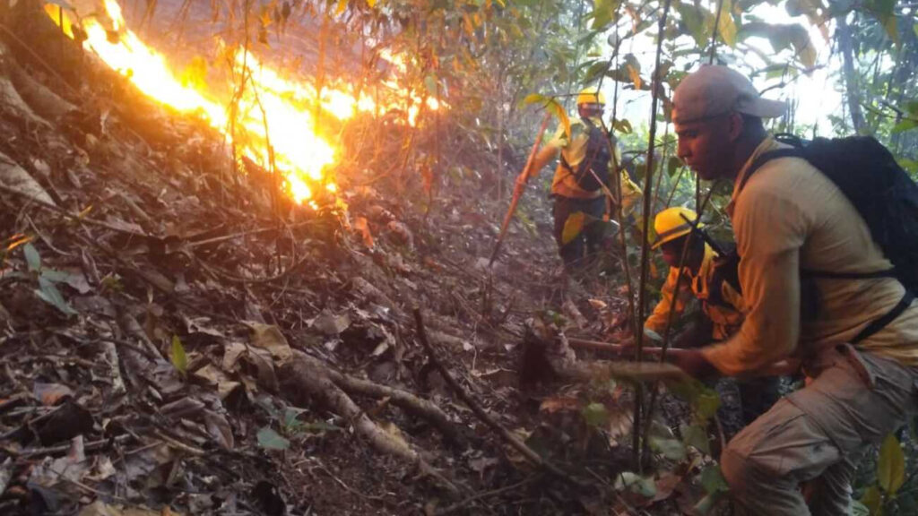 Bomberos forestales trabajan para terminar de extinguir el incendio registrado en Saltos de Jima