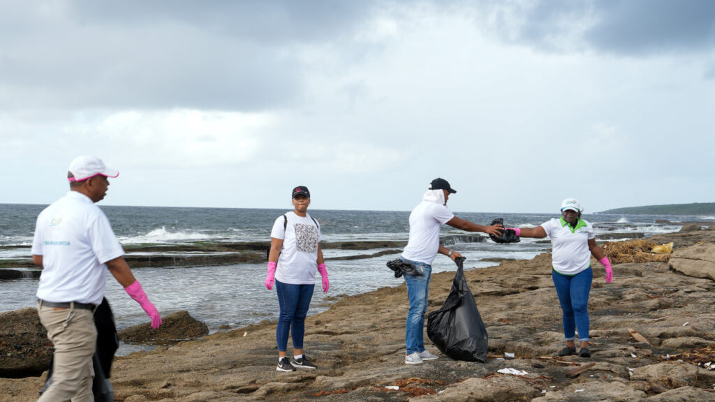En el Día Mundial de los Océanos, Medio Ambiente realiza reforestación de manglares y limpieza de arrecifes en San Cristóbal