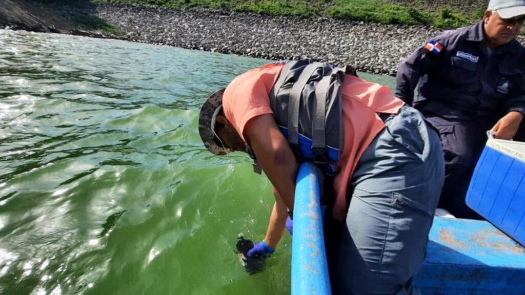 Medio @ambienterd: Resultados preliminares apuntan a que floración de algas pudo provocar muerte de peces en la presa de Hatillo