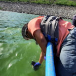 Medio @ambienterd: Resultados preliminares apuntan a que floración de algas pudo provocar muerte de peces en la presa de Hatillo