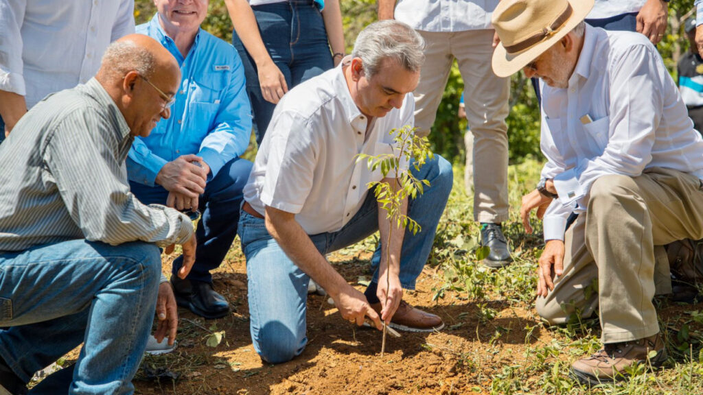 En apoyo al Plan Nacional de Reforestación y Restauración, entidades sembrarán más de 16,000 árboles en diversas provincias