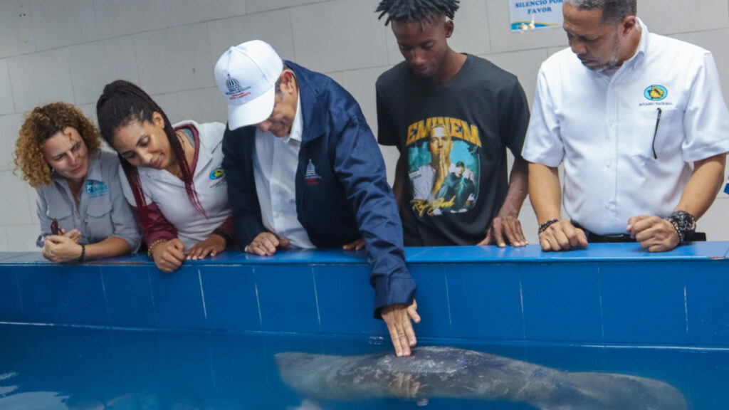 Ministerio de @ambienterd da seguimiento a evolución del manatí Jean Pedro en el Acuario Nacional