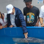 Ministerio de @ambienterd da seguimiento a evolución del manatí Jean Pedro en el Acuario Nacional