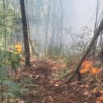 Bomberos forestales extinguen incendios en Guaigüí y combaten otro en El Puerto, Jarabacoa