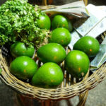 @Feda_RD muestra interés en impulsar la producción del aguacate dominicano