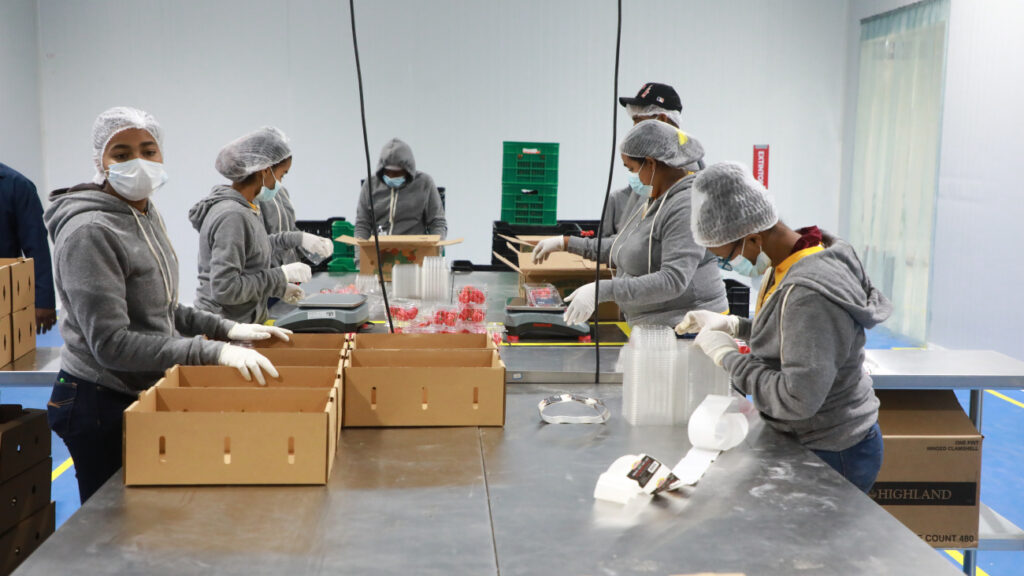 Zonas francas alcanzan su mayor crecimiento económico entre 2020 y 2023