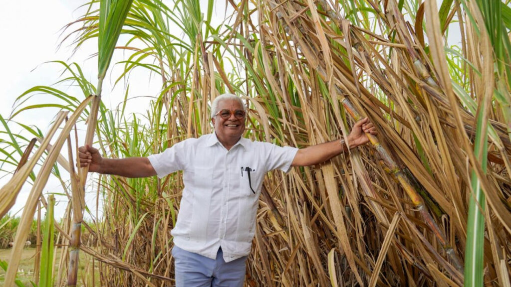 CEA alista operaciones ingenio Porvenir con producción de 200,000 toneladas de azúcar