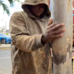 @CarolinaMejiaG trabajando construyendo nuevos imbornales en todo el DN