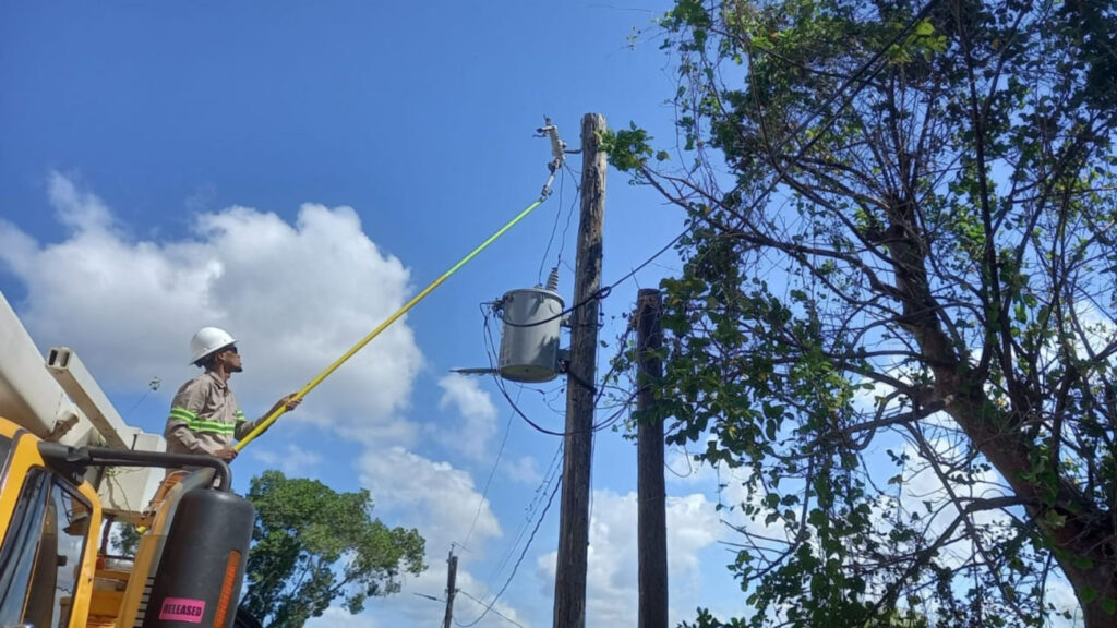 Edesur desmantela 698 conexiones ilegales y recupera 35 transformadores usados para el robo de energía