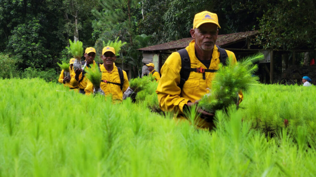 Programa Nacional de Manejo del Fuego informa reducción del 58 % en incendios forestales durante primer cuatrimestre de 2024