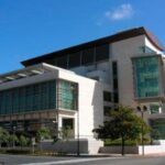 Mas de 50 oficinas de abogados representan implicados en criminalidad organizada que han firmado acuerdos culpabilidad