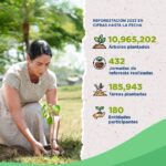 @RaquelArbaje “Únete al Día Mundial del Medio Ambiente: Acciones Pequeñas, Impacto Grande”