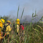 Bomberos forestales y guardaparques extinguieron el incendio en Cabarete y Goleta