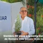 @LeoFana2 a partir de mañana adquiere una Planta de Romero para uso en tus cocinas