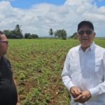 @LeoFana2 presenta siembra de maíz que ejecuta el Sr. Rafael Cabrera en la Provincia Altagracia