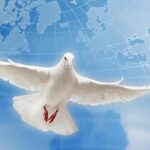 Paz en el mundo