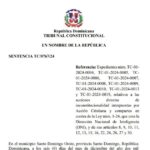 ALTAS CORTES | El Tribunal Constitucional .@TribunalConstRD anula la ley que crea la DNI | Detalle sentencia TC/0767/24