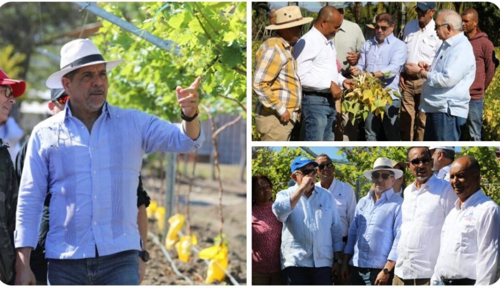 @LimberCruzL Visitamos la Regional Suroeste para interactuar con los productores, escucharlos y pasar revista al nuevo modelo de desarrollo agropecuario del valle de San Juan