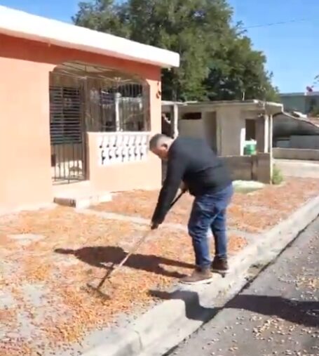 @CaamanoVive Hecmilio Galván Recorriendo las angostas calles de Paraíso Barahona, descubrí la principal razón por la cual el @Feda_RDinaugurará mañana un centro de acopio de cacao en esta zona