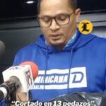 Para su verificación el bate fue dividido en 13 pedazos, constatando el equipo revisor que este solo tenía madera y contaba con los gramos permitidos en la Liga Dominicana