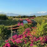 @TurismoRD ¡Un rincón con encanto especial y sabores únicos! Ocoa Bay, Palmar de Ocoa