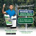 ÁNIMO… HA RENOVAR EL MARBETE¡¡ | IMPUESTOS INTERNOS DGII RD | El proceso de renovación de marbete 2024-2025concluye el viernes 31 de enero del 2025 | ¿Qué debo hacer para renovar el marbete por internet?