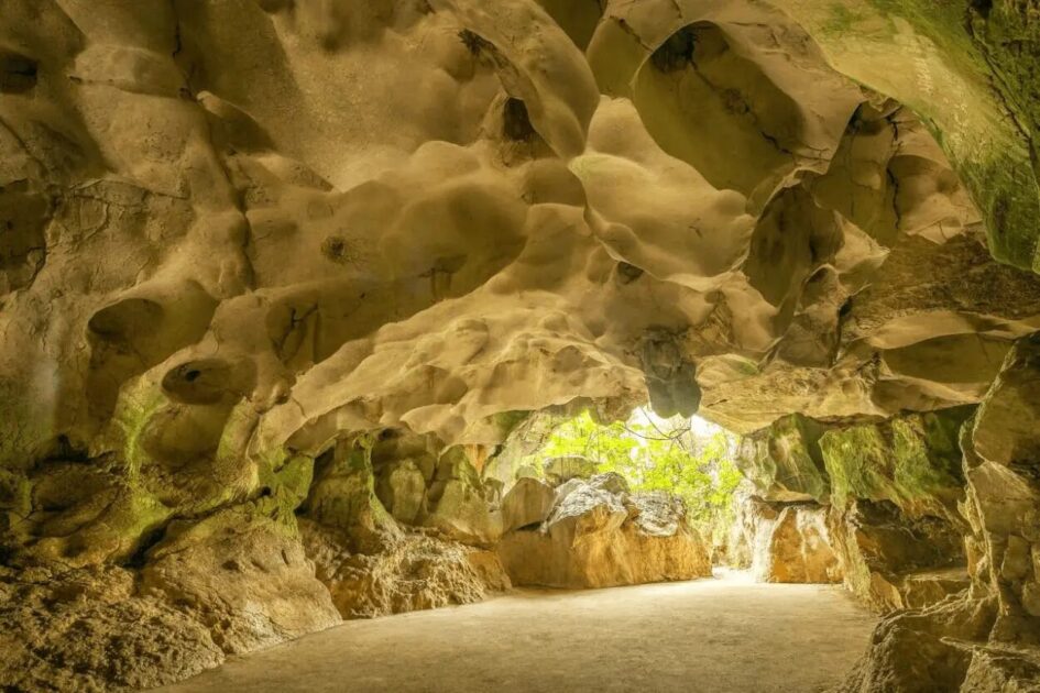 En SAN CRISTOBAL regidores emiten resolución solicitando al presidente @LuisAbinader protección de la CUEVA DEL POMIER | CONOZCA SOBRE SU PICTOGRAFÍA Y ARTE RUPESTRE