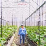@AgriculturaRD Elizabeth, ingeniera agrónoma apasionada, lidera 13 proyectos de invernaderos en San José de Ocoa. Innovación y sostenibilidad florecen bajo su cuidado. ¡El futuro del agro está en sus manos