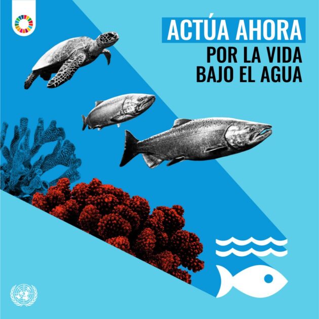 @ONU_es Los océanos sustentan a millones de personas, pero la sobrepesca, la contaminación y el cambio climático son una amenaza