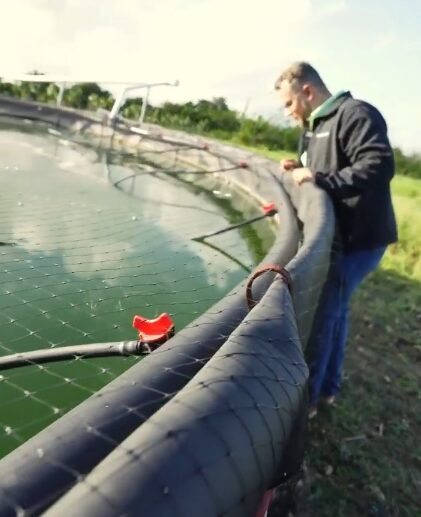 @CaamanoVive Hecmilio Galván dejamos inaugurado un proyecto acuícola cooperativo en Yuma, confiados en que así se expandirá la acuicultura en toda la Provincia La Altagracia