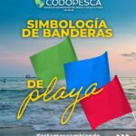 @CodopescaRD Disfrutar del mar es una experiencia increíble, pero siempre es importante hacerlo con responsabilidad