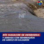 El río Masacre se desborda y arrasa con sembradíos de arroz en Dajabón