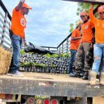@caamanoVive Hecmilio Galván Y dentro de tanto dolor, me llegan las fotos de unas miles de plántulas cacao que enviamos a Barahona para los jovenes emprendedores del Programa @AgroRDEmprende