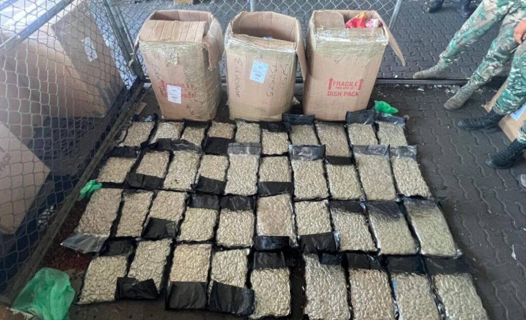 DNCD apresa hombre con 39 paquetes de marihuana en el Puerto Haina Oriental